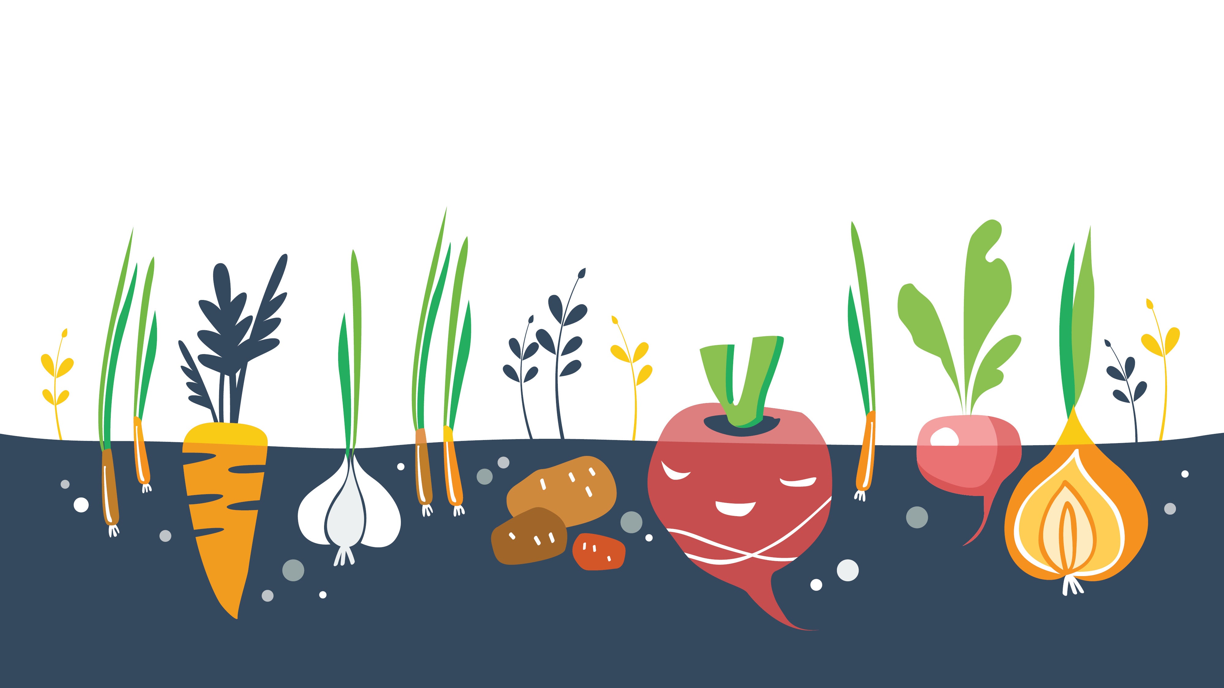 Addressing Skin and Allergy Issues Through Diet