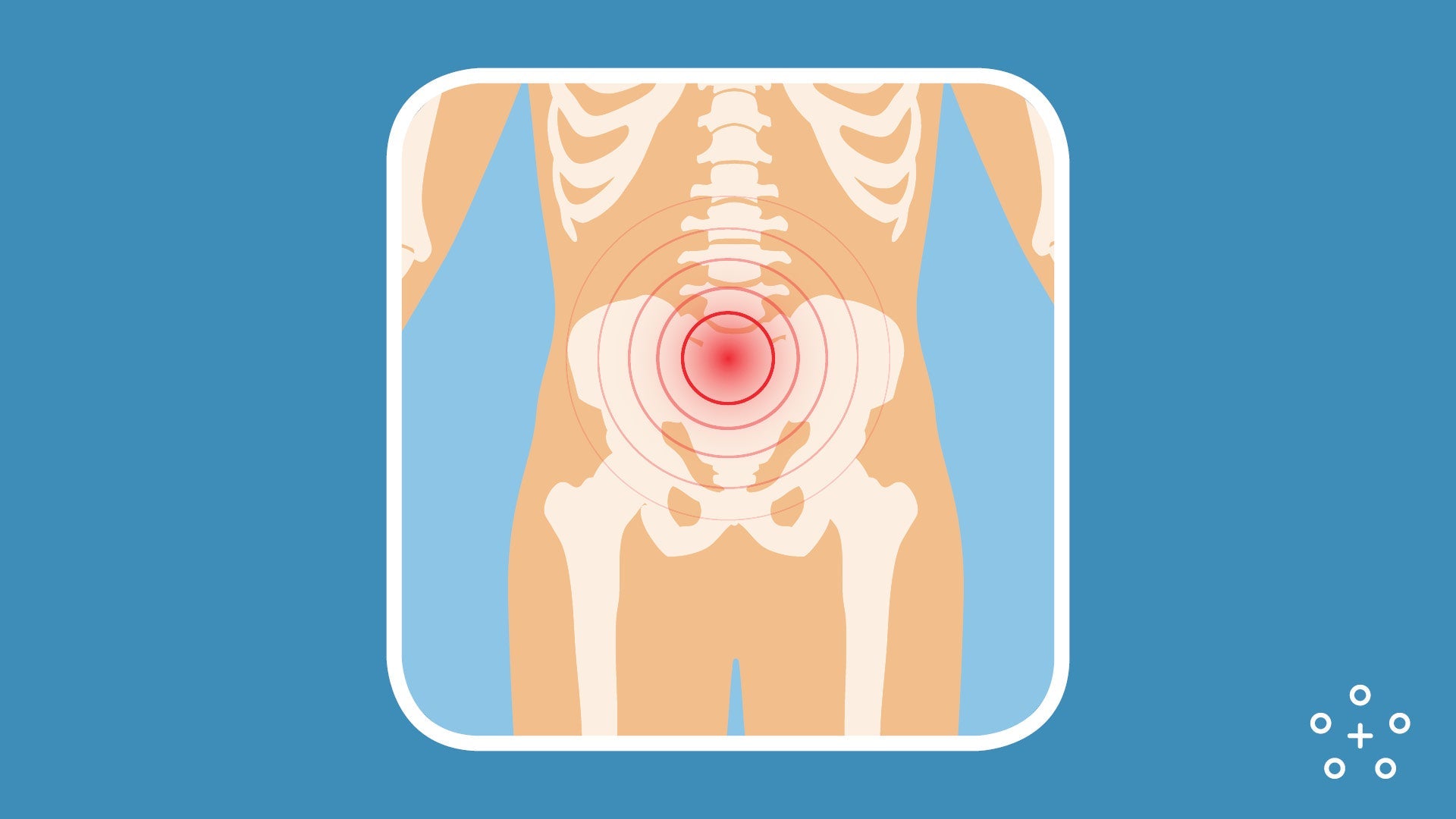 Quick Spinal Anatomy Lesson