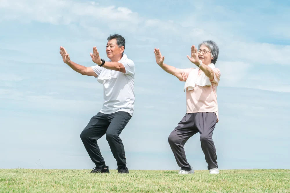 An elderly couple doing Tai Chi