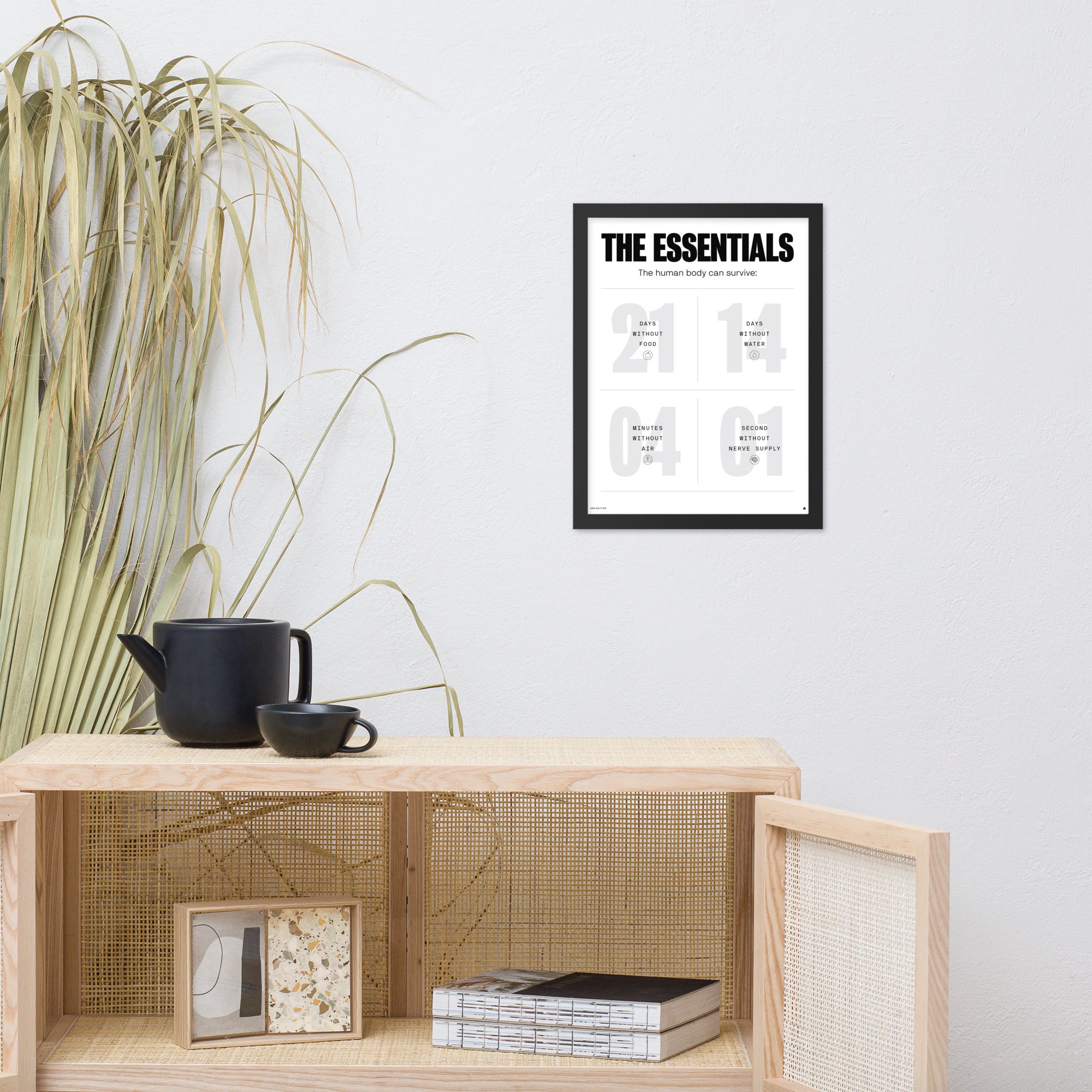 The Human Body Survival Essentials(White)