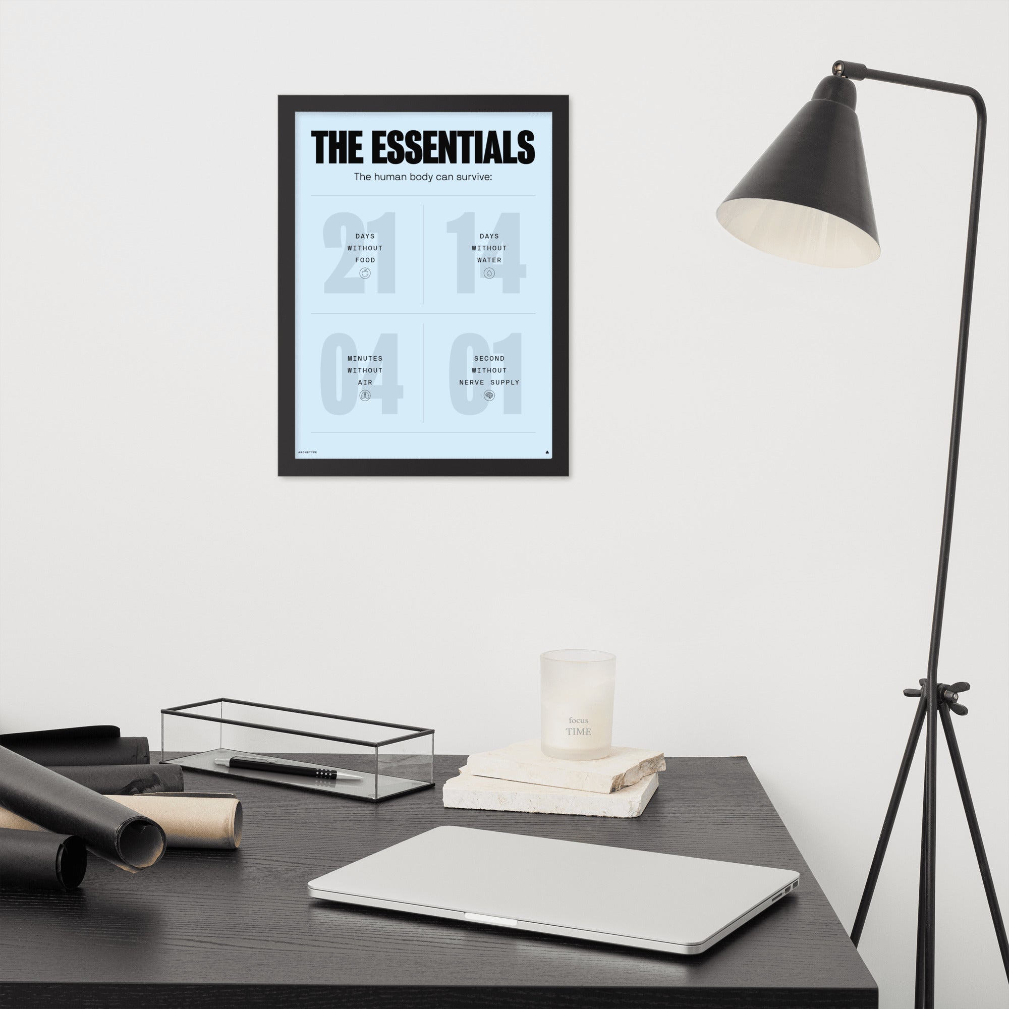 The Human Body Survival Essentials(Blue)