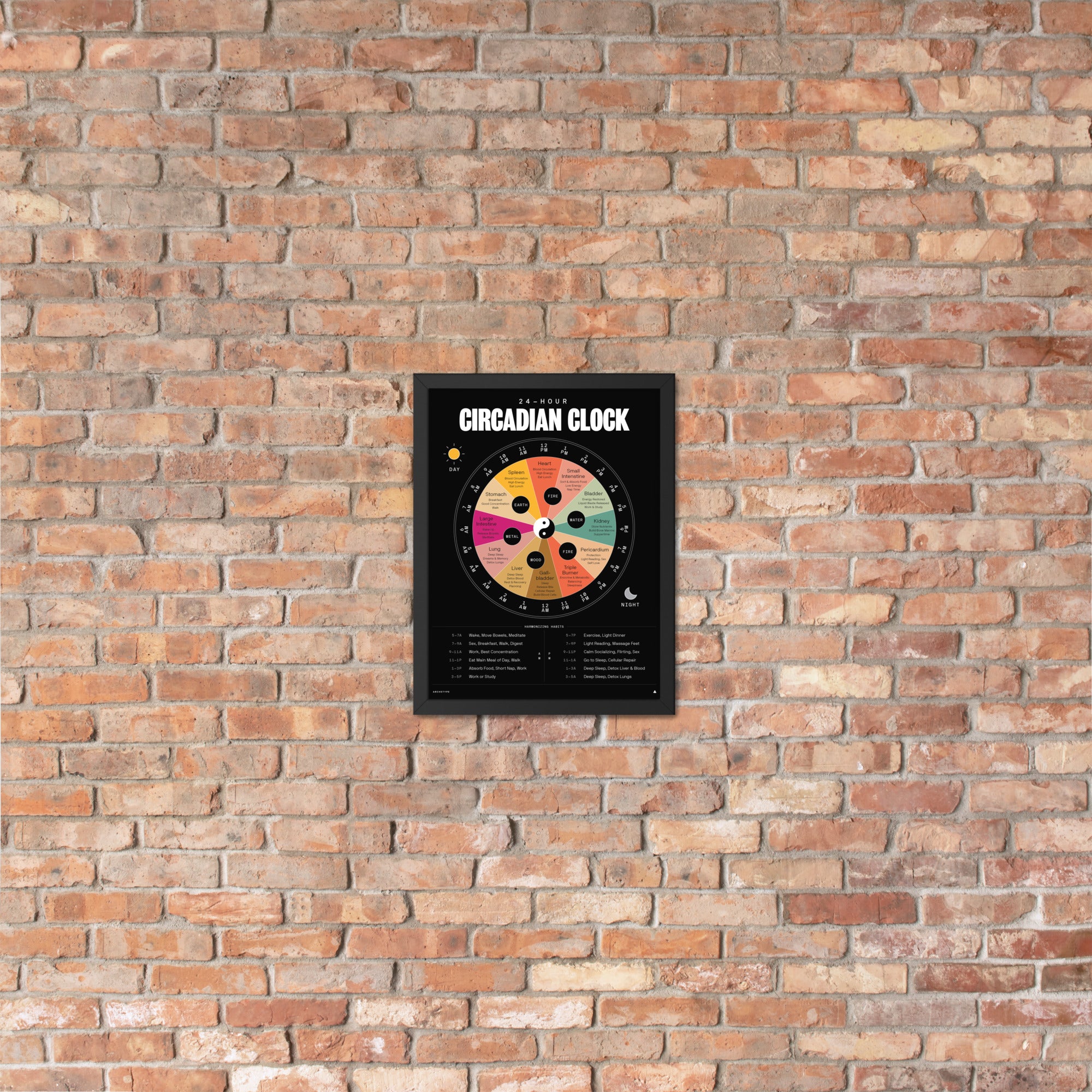 24-Hour Circadian Clock(With Color)