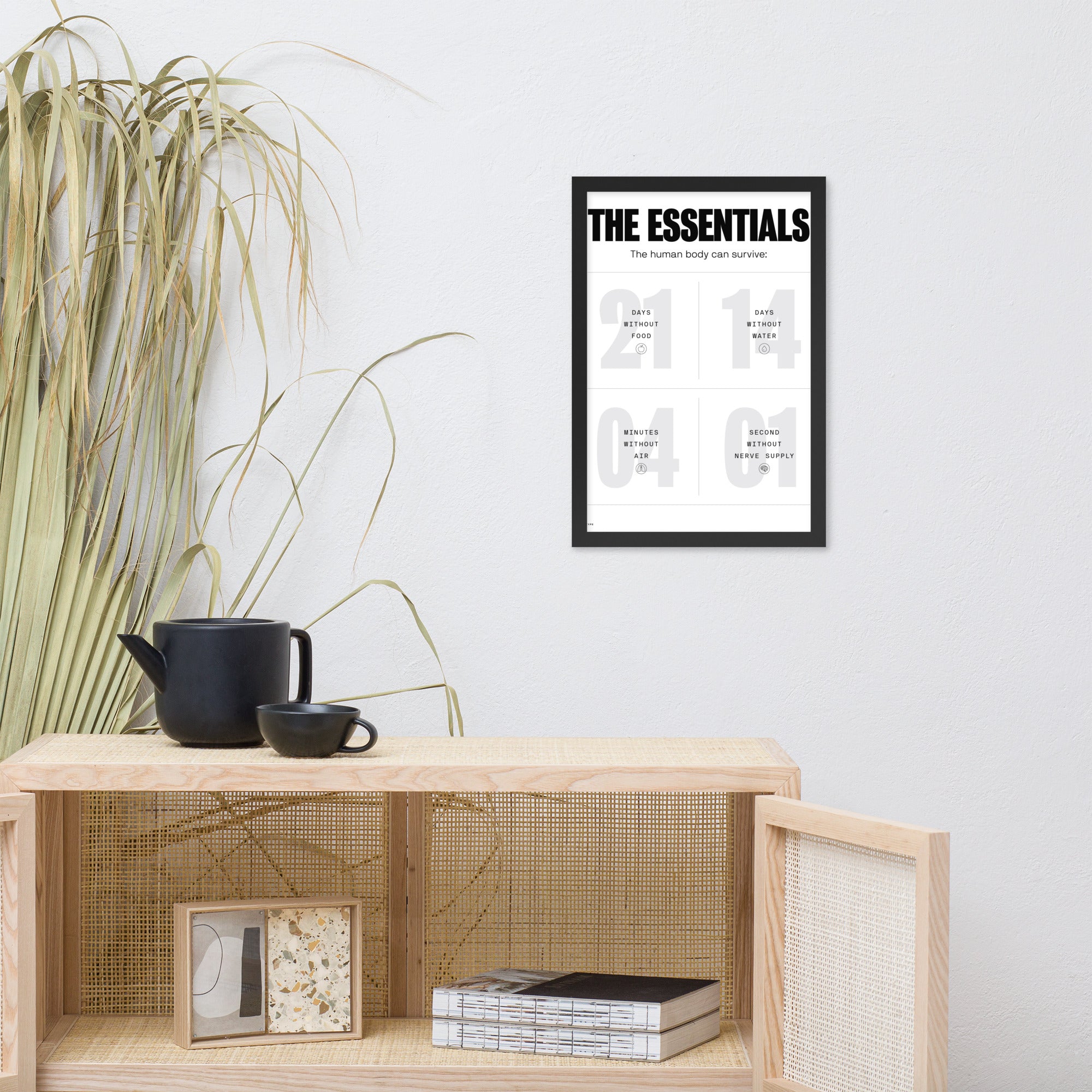 The Human Body Survival Essentials(White)