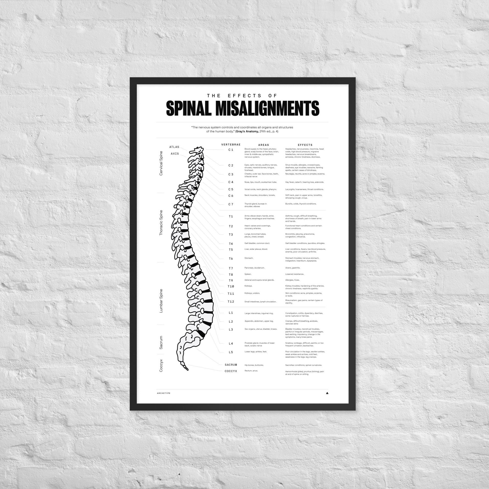 The Effects Of Spinal Misalignment