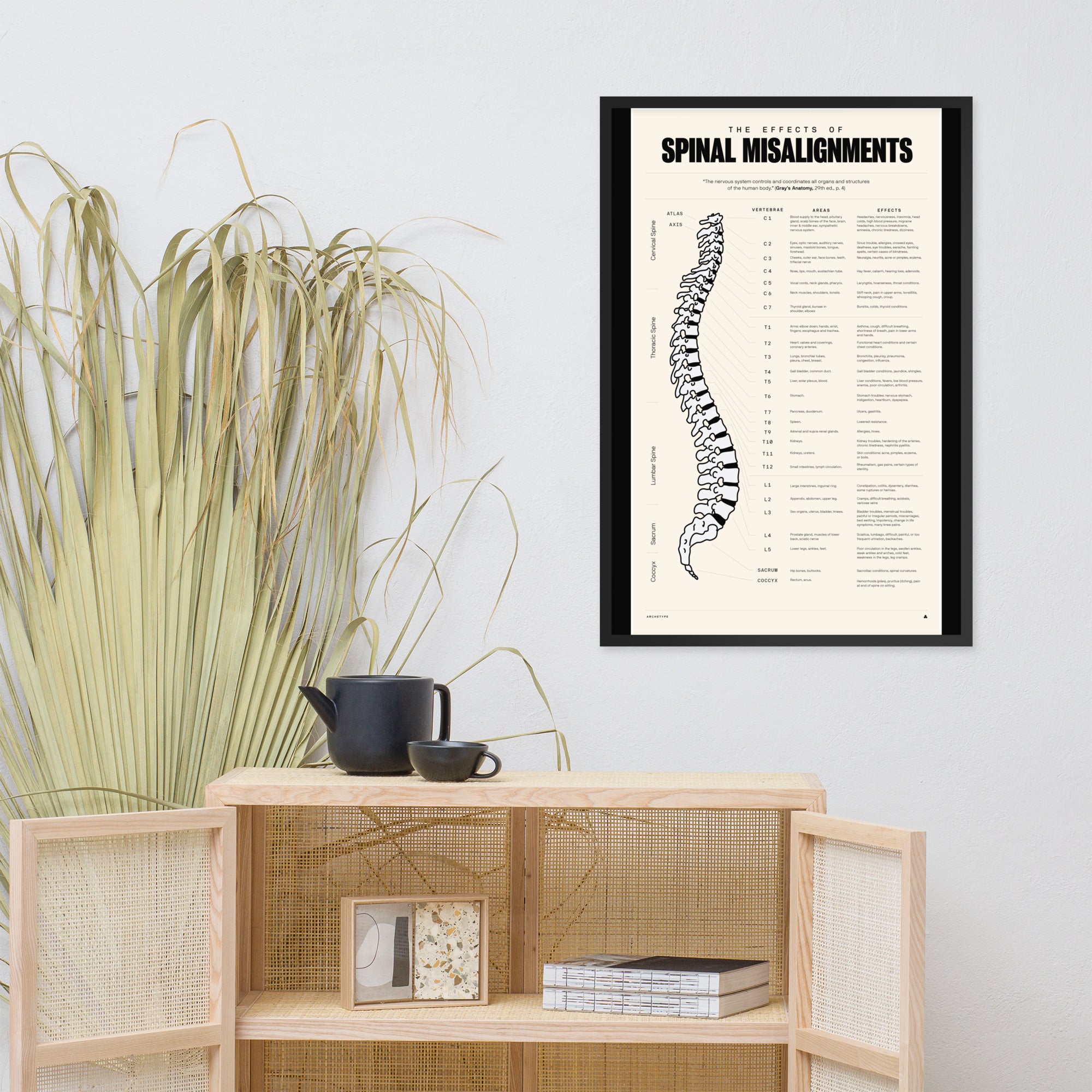 The Effects Of Spinal Misalignment(Tan)