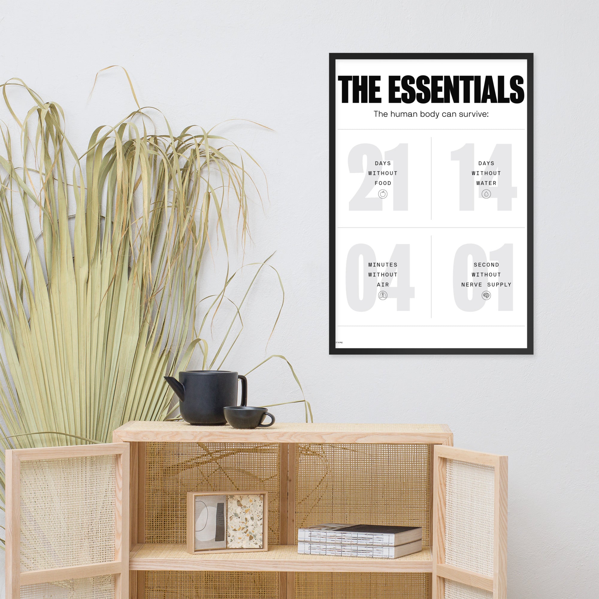 The Human Body Survival Essentials(White)