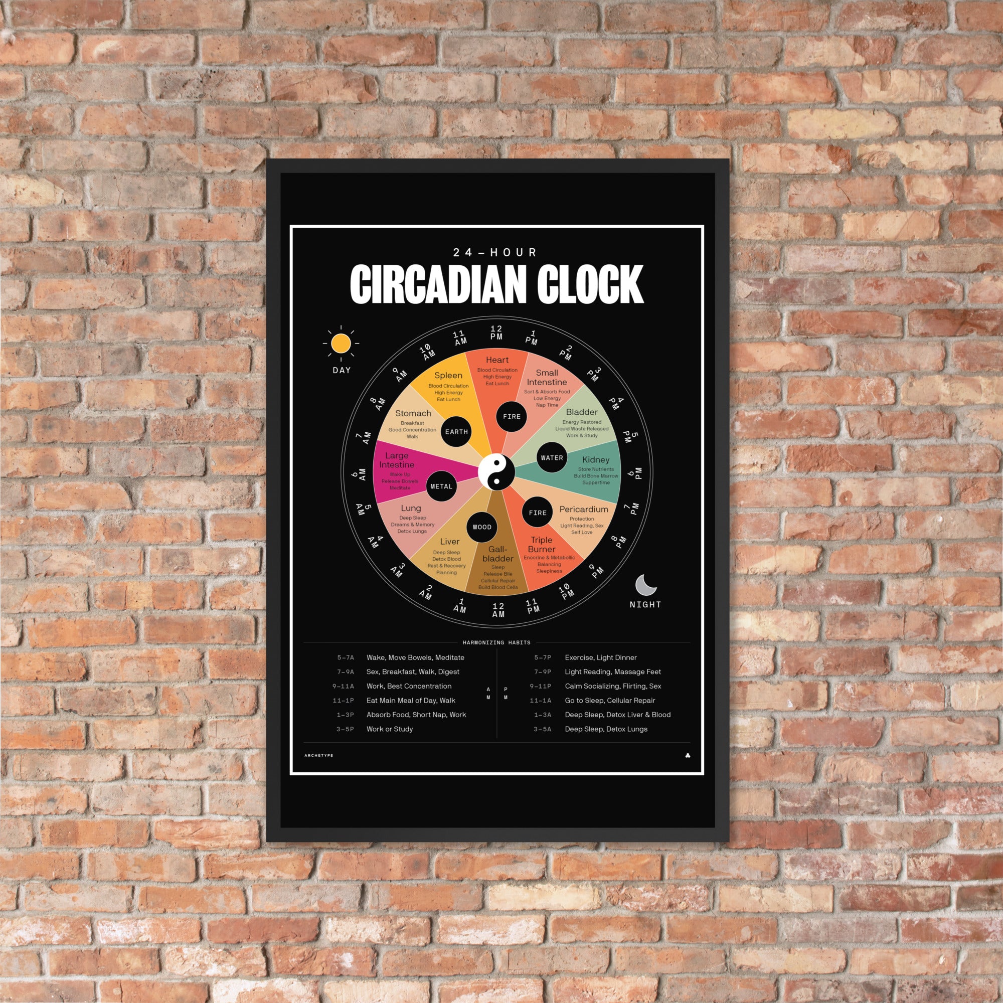 24-Hour Circadian Clock(With Color)