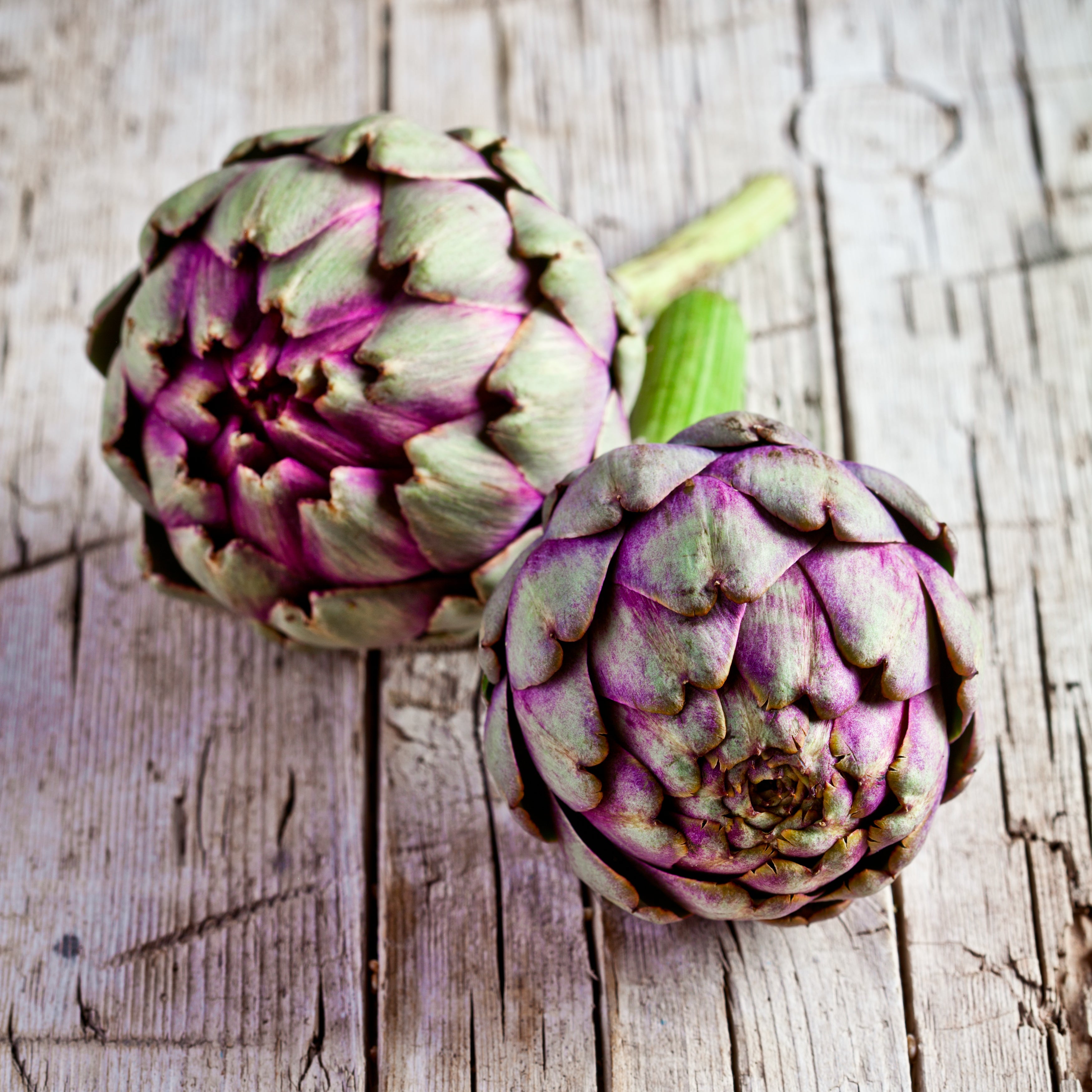 Food of the Month for April: Artichokes