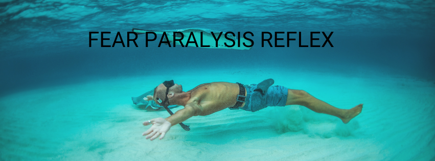 Fear Paralysis reflex