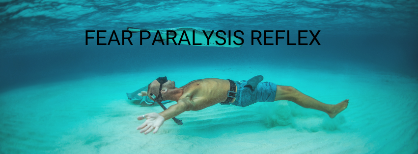 Paralyzed In Fear Fear Paralysis Reflex – Archetype Health