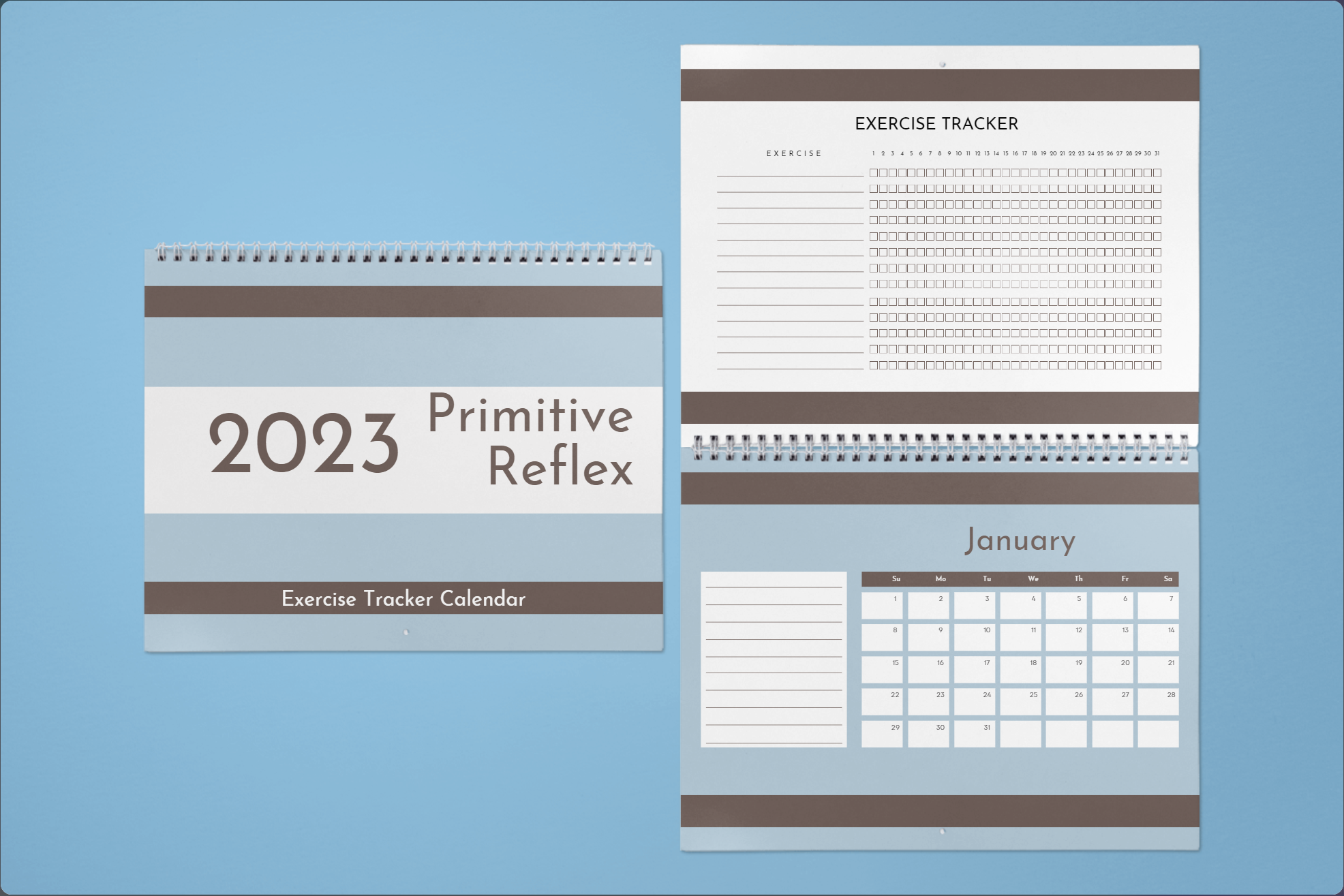 2023 Primitive Reflexes Calendar