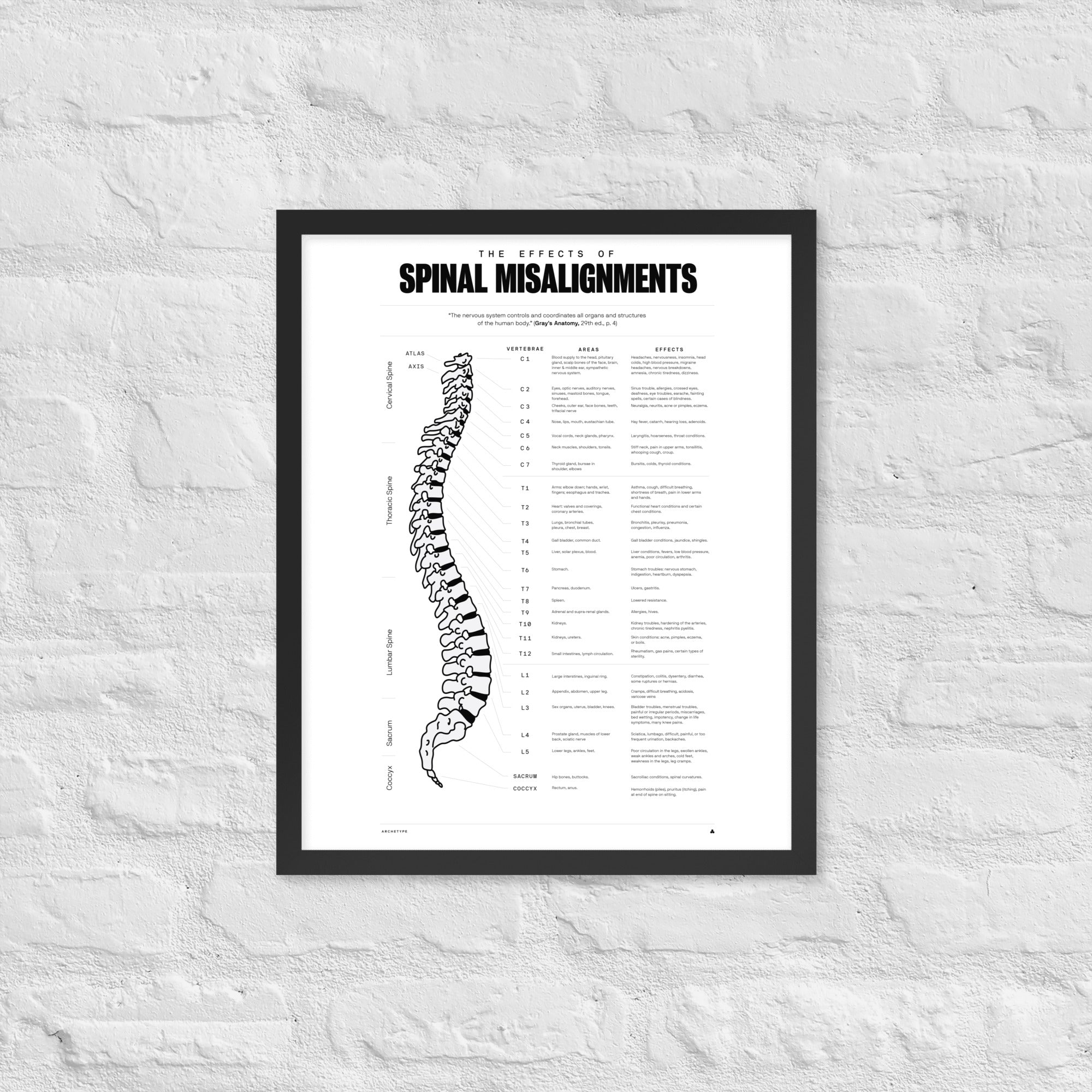 The Effects Of Spinal Misalignment