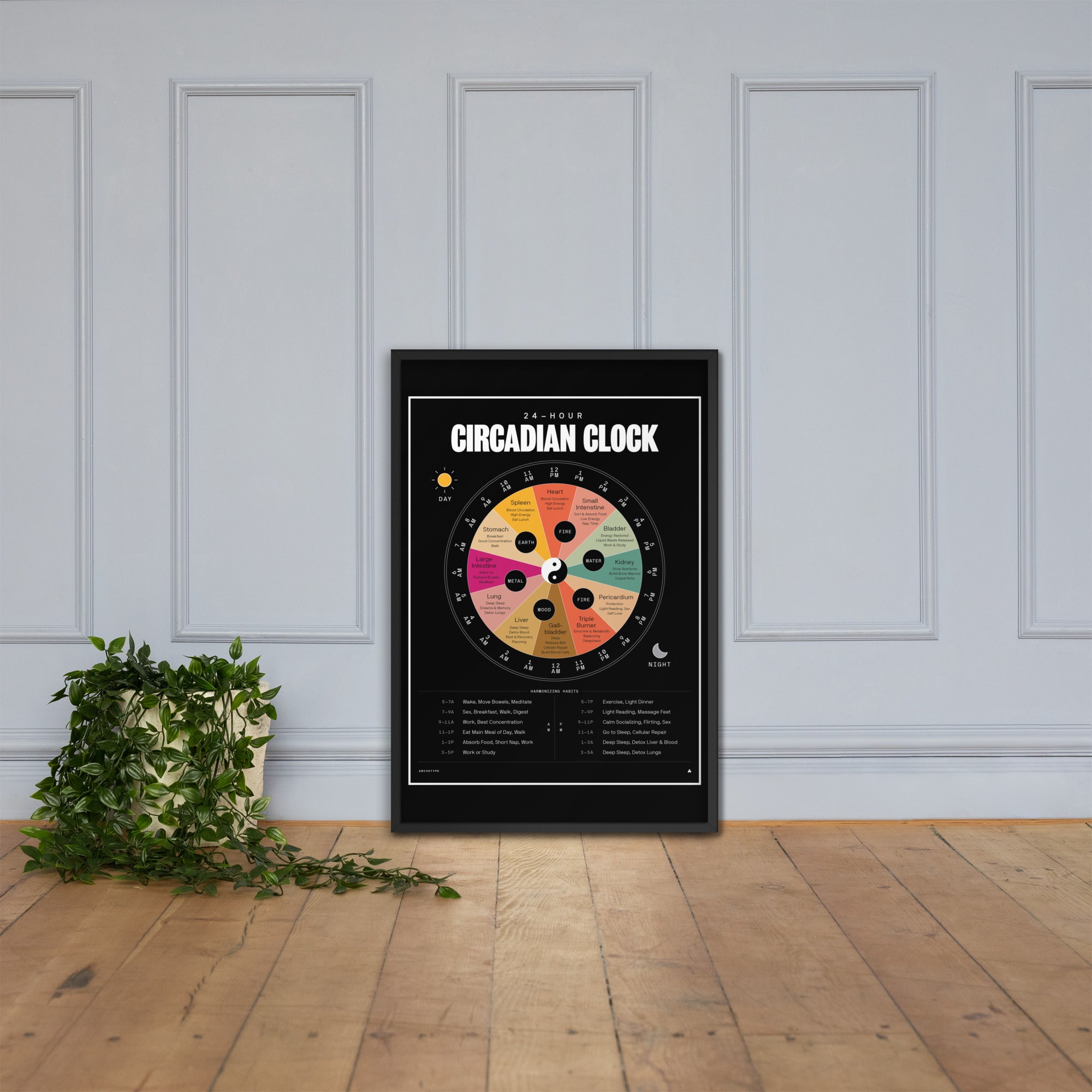 24-Hour Circadian Clock(With Color)
